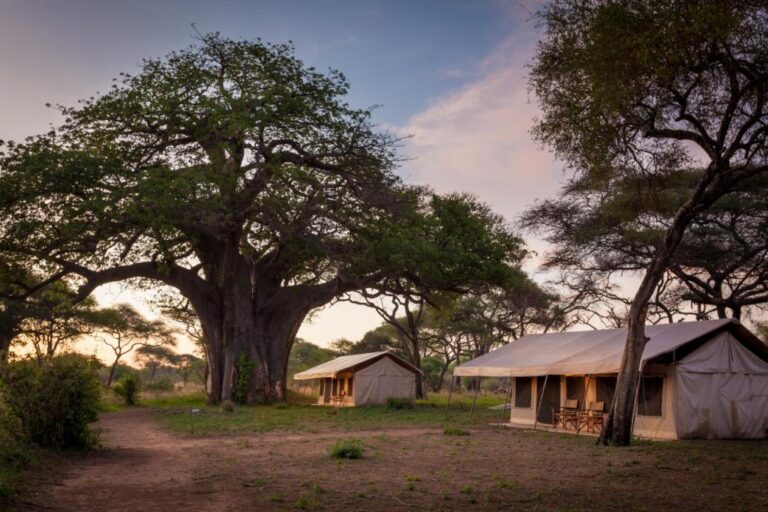 Baobab Lodge