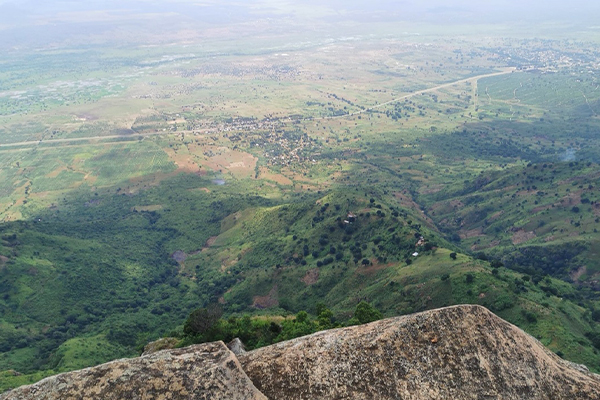 usambara 13