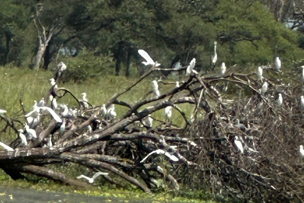 Tarangire Nationalpark