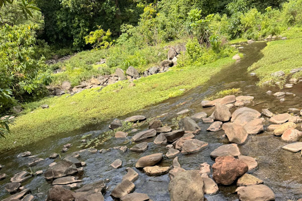 Beautiful riverbed