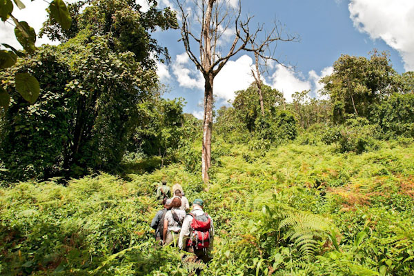 Hiking-udzungwa_edited