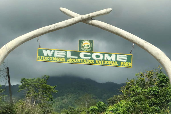 Udzungwa_edited