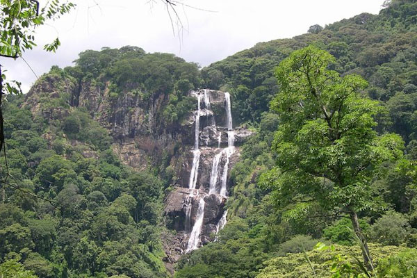 udzungwa senja_edited