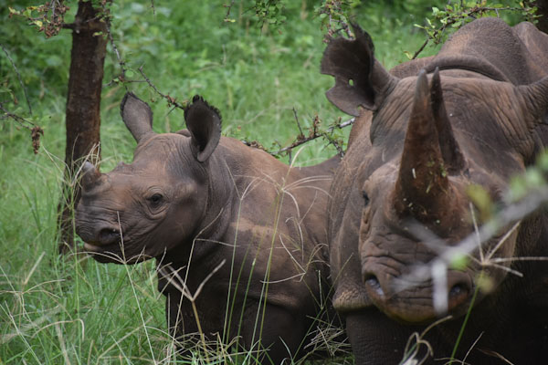 mkomazi3_edited