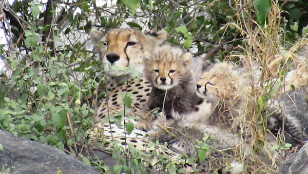 familysafari14_edited