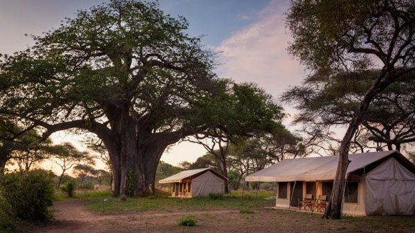 Baobab Lodge_edited