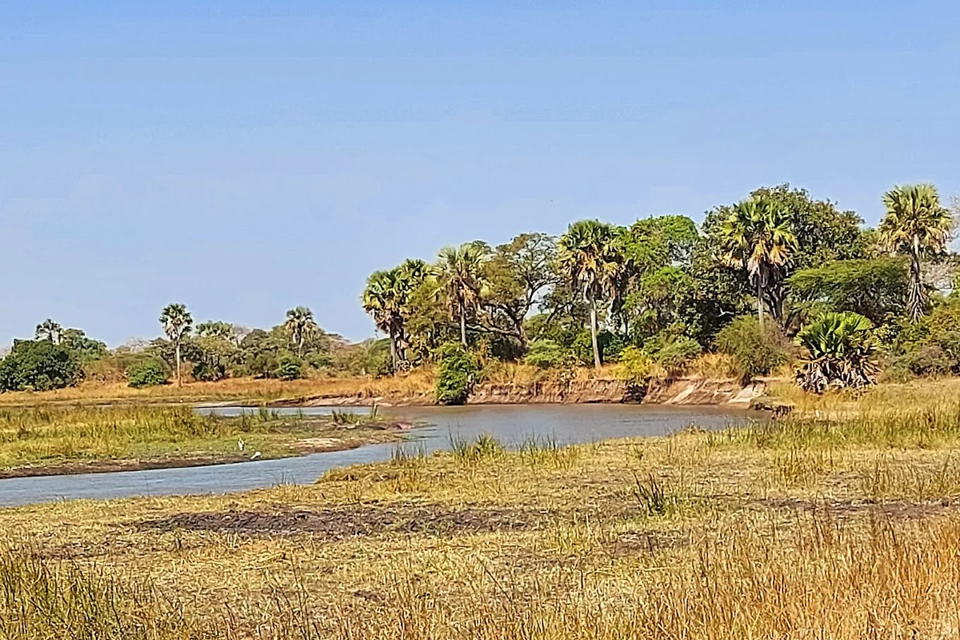 katavi3