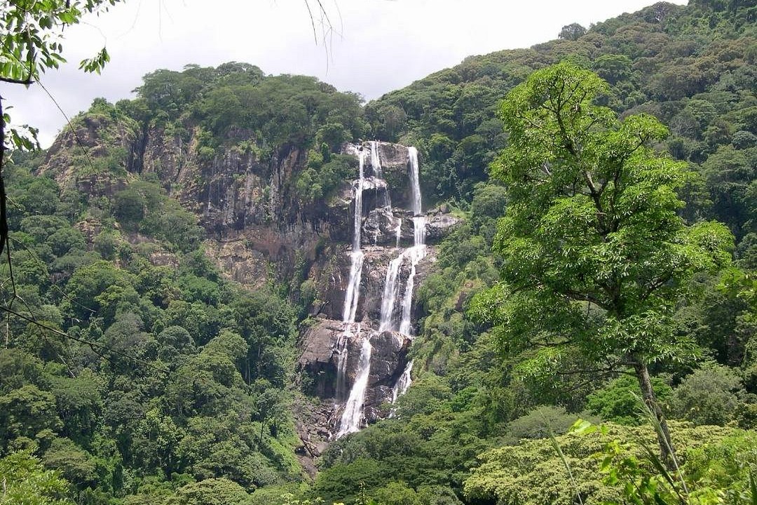 morogoro1