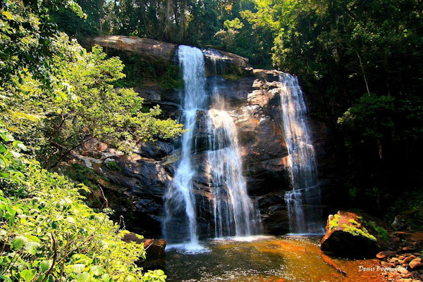 udzungwa-mountains-national_edited