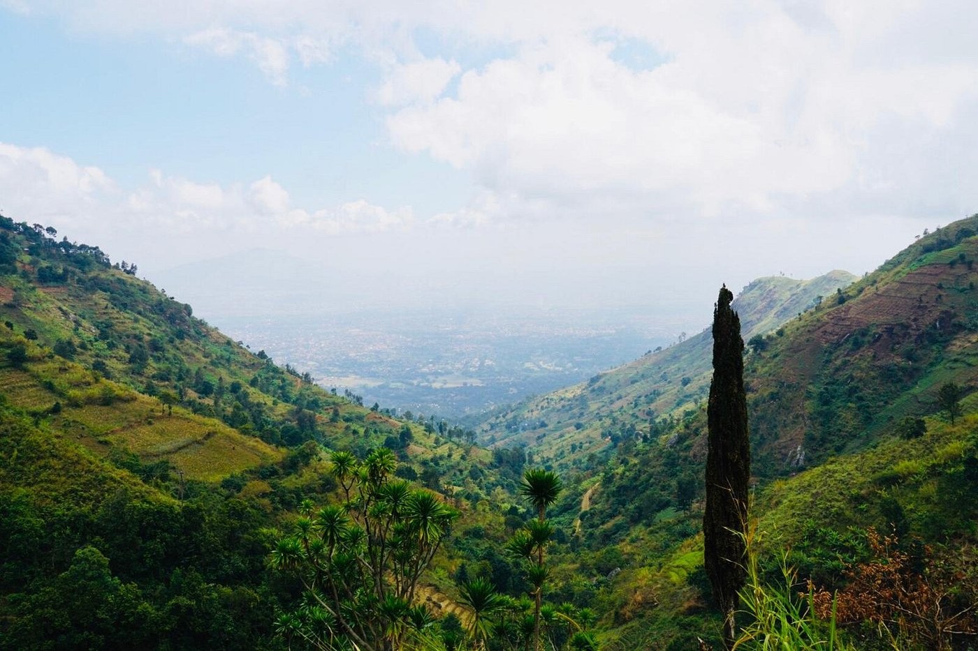 uluguru-mountain-it-is