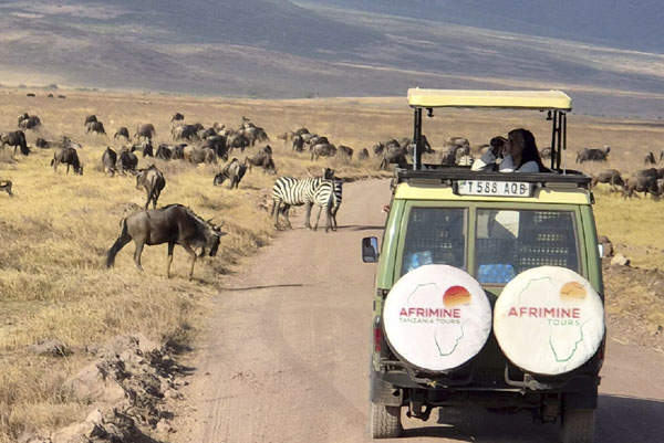 Leo Safari6