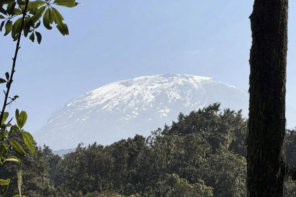leo kili11